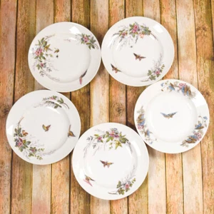 5 x Haviland geätzte Blumen Schmetterlinge handkoloriert umrandet Pastateller Schalen - Bild 1 von 11
