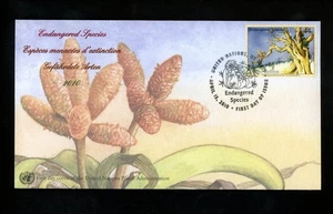 Postal History UN FDC NY #1001 UNPA Endangered Species Bristlecone pine 2010 - Picture 1 of 2