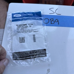 (1) Genuine Ford Tail Gate Molding Rivet -N807673-S Nos OEM Sold Individually - Bild 1 von 4
