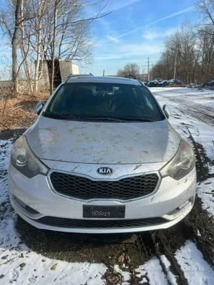 Temperature Control Hatchback Fits 14-16 FORTE 2800 - Image 1 of 4