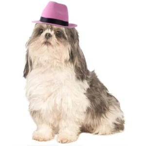 Pet Accessories Dog Caps Nonwoven Pet Hat Funny Pet Dog Cowboy Hat Pet Dog - Picture 1 of 14