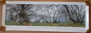 IMPRESIÓN FOTOGRÁFICA WALLACE'S HUT, VICTORIA, AUSTRALIA - Imagen 1 de 2