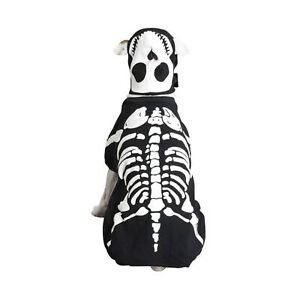 Casual Canine Cotton Glow Bones Dog Costume, X-Small, 8-Inch(Black)