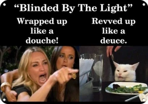 WOMAN YELLING AT CAT FUNNY MEME Blinded By The Light *OR Say Whatever You Want* - Picture 1 of 1