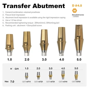 Dental Titanium Cemented Straight Abutment Compatible With Osstem Hiossen Mini - Picture 1 of 19