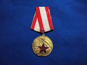 ALBANIA MEDAGLIA PER BUON SERVIZIO IN CAMPO DIFESA ORDINE ALBANESE COMUNISTA 1945 90 - Foto 1 di 3