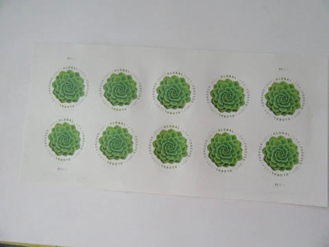 10 USPS 2017 Global Forever Stamps Green Succulent - Peel & Stick(1 Sheet of 10) Cover