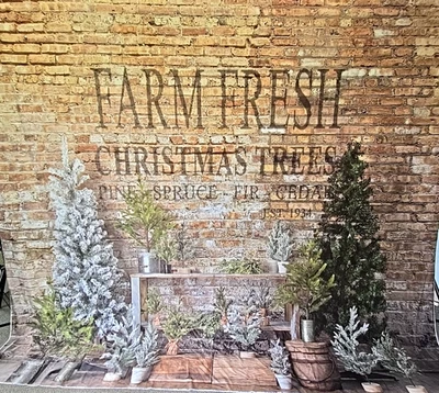 Fotografía de tela rústica árboles de Navidad frescos de granja Kate telón de fondo 10' x 8,2' Foto 1 de 4