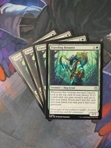 Traveling Botanist x 4 | 7% de descuento 2+ | Tarkir: Dragonstorm | Casi nuevo | Como nuevo - Imagen 1 de 1