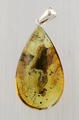 Colgante Plata ÁMBAR BÁLTICO Genuino Inclusión Mosca Piernas Largas 3.8g p151013-2 Foto 1 de 2