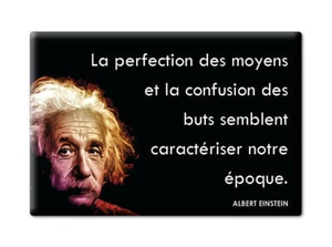 ALBERT EINSTEIN APHORISMES CITATIONS "PERFECTION CONFUSION CARACTÉRISER" AIMANT - Picture 1 of 8