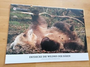 Kalender 2020 Bärenwald Müritz A3 Format Schöne Bären Fotos - Bild 1 von 13