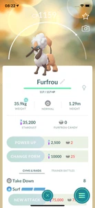 Pokemon - Furfrou Diamond Trim!! Versand am selben Tag oder garantiert am nächsten Tag! Go - Bild 1 von 1