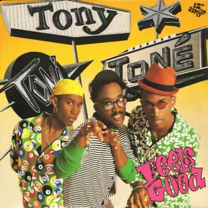 Tony Toni Toné Feels Good 1990 PolyGram Records America Vinyl LP 12" Single Exce - Imagen 1 de 12