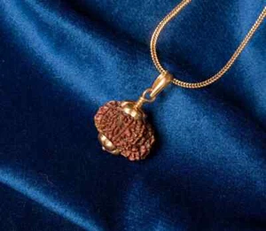 12 Mukhi (Face) Rudraksha Gold Pendant, Certified 14K, 18K, 22K Gold Option - Picture 1 of 6