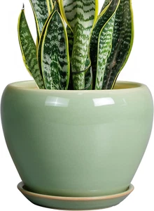 8 Inch Plant Pot - Ceramic Planter for Outdoor Plants Indoor Plant Pot with Drai - Picture 1 of 7