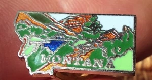 Insignia pin colorida del estado de Montana - Imagen 1 de 1