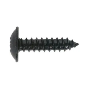 Sealey Blechschraube 4,8 x 13 mm Flanschkopf schwarz Pozi 100er Pack BST4813 - Bild 1 von 7