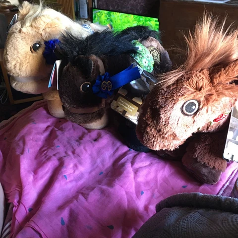 3 Plush Piccoli Horse - Kentucky Derby Museum - Tan/Black/brown/blonde - NWT Cover
