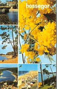 Hossegor - Mehrfachansichten - Bild 1 von 2