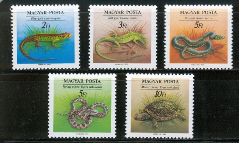 HUNGRÍA - 1989. Reptiles (serpientes, animales) Cpl. Set MNH! Mi:4035-4039. Foto 1 de 1