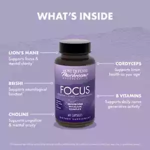 Host Defense MycoBenefits® Focus* Capsules 60 Veg Caps Organic Fungi Perfecti - Picture 1 of 6