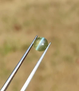 Natural Ceylon Chrysoberyl Cat's Eye Gem Oval Cabochon for Ring Jewelry 1.45ct - Picture 1 of 12