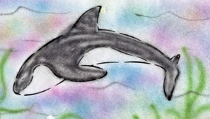 Cake Decorating and Craft Stencil Orca Whale - Picture 1 of 2