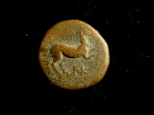 THRACE. MARONEIA. 400 BC. AE 15. Horse. Square w  four bunches of grapes. - Picture 1 of 2