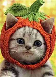 "Happy Halloween to Sweetest Pumpkin in the Patch" AVANTI CARD Kitten in Costume - Picture 1 of 2