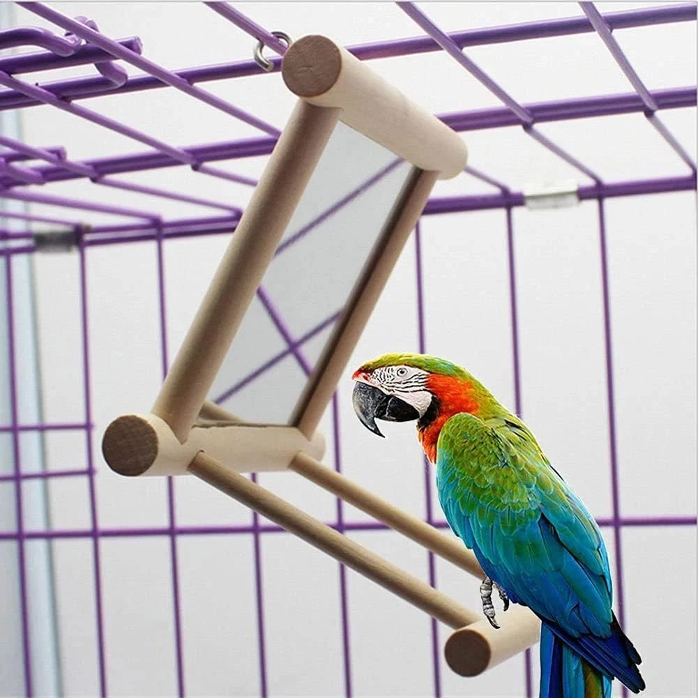Grape Branch Parrot Perch Beavorty Grapewood Bird Perch Stand - Parrot ...