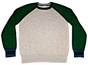 Gap Kids Boys Size Medium 8-9 Wool Blend Pullover Crewneck Sweater - Picture 1 of 5