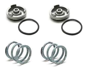 700R4 700 4L60 4L60E New Updated Aluminum 1-2 3-4 Accumulator Kit .310 Pin Type - Foto 1 di 4