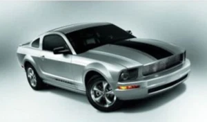 BRAND NEW OEM NOS 2008-09 FORD MUSTANG STRIPE KIT 8R3Z-6320000-AH - Picture 1 of 7