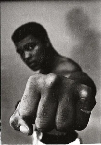 THOMAS HOEPKER Muhammad Ali photo carrée signée MAGNUM édition limitée - Photo 1/12