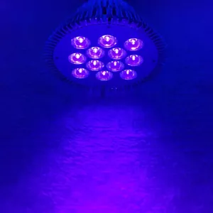 36W 415nm~420nm Purple PAR38 UV LED Lamp Spot Light Bulb Curing Aquarium E26 E27 - Picture 1 of 7