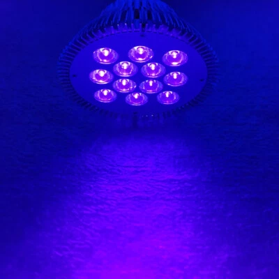36W 415nm~420nm Purple PAR38 UV LED Lamp Spot Light Bulb Curing Aquarium E26 E27 - Image 1 of 4