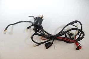 Fascio Elettrico JM MOTORS 50 RITMO 2019 A 2020 - Picture 1 of 3