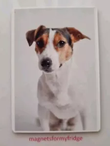 JACK RUSSELL DOG FRIDGE MAGNET - M839 - Picture 1 of 1