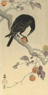HANGA HARBOR Japanese Art Woodblock Print Shin Hanga "Crow Eating a Persimmon" OHARA KOSON