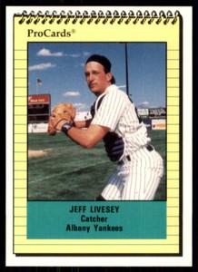1991 ProCards Jeff Livesey Albany-Colonie Yankees #1011
