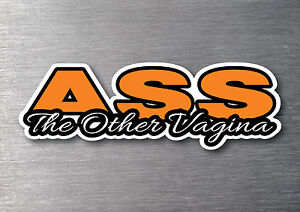 Ass the other Vagina Sticker quality vinyl 150mm high car funny rude drift 