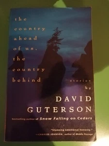 The Country Ahead of Us, The Country Behind (Vintage Contemporaries) - Bild 1 von 1