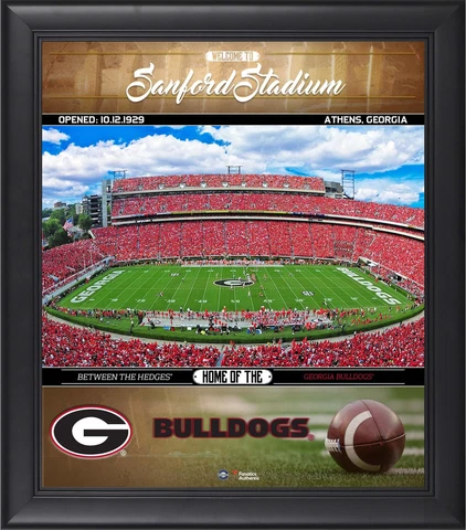 Georgia Bulldogs Framed 15x17 Welcome Home Collage - Fanatics Cover