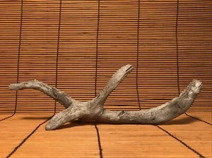 Schönes 10" Treibholz Aquarium Terrarium Aquascape Blumendekor Handwerk Reptil - Bild 1 von 11