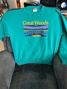 VINTAGE 1990'S GREAT WOODS, Mansfield, MA XL Sweat Shirt EXC 1-sided - Picture 1 of 4