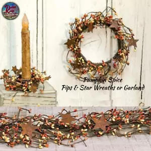 Pumpkin Spice Pip/Star Wreaths, Pick & Garland - Picture 1 of 9