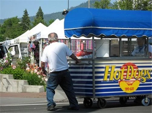 Business Plan To Start Hot Dog Stand Meat Cart Vendor - Image 1 of 1