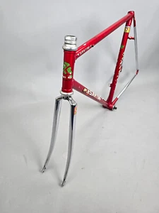 Rahmen Set Santini Italia vintage Stahl frame steel 55 cm Campagnolo Columbus SL - Bild 1 von 18