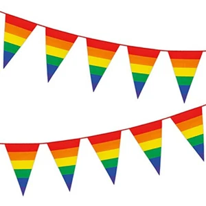 Gay Pride Rainbow Stripe 10 Metre Triangular Bunting 20 Flags Party Decoration - Picture 1 of 2